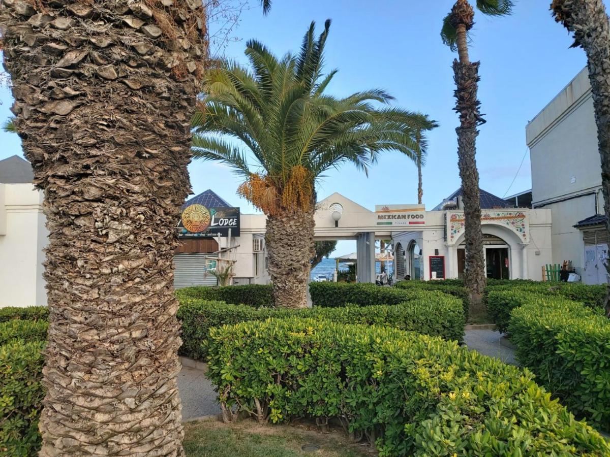 Villa Amalia 5 Torrevieja Exterior foto